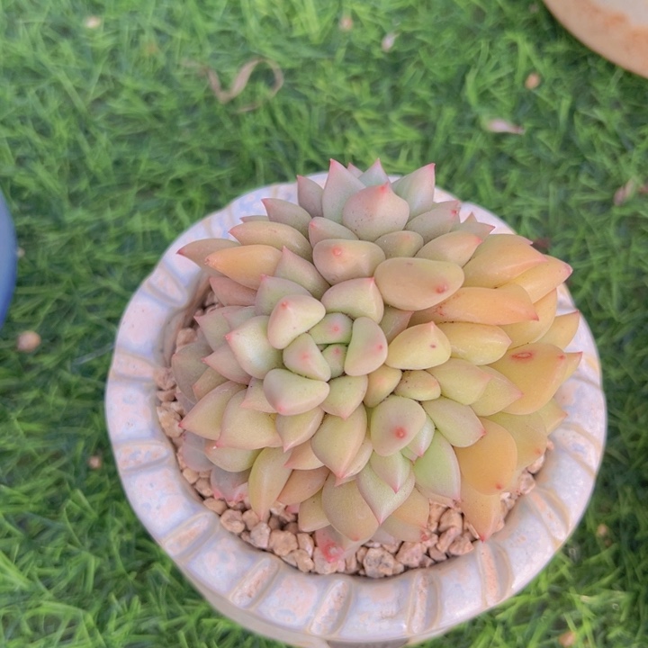 健健康康平平安安