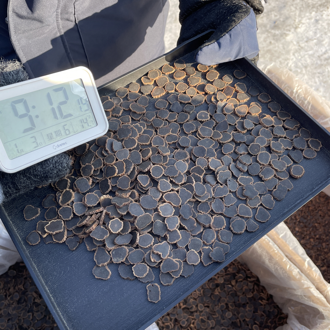 【小谢严选】长白山溯源-金边黑参片-整支切片 九蒸九晒 1月3日