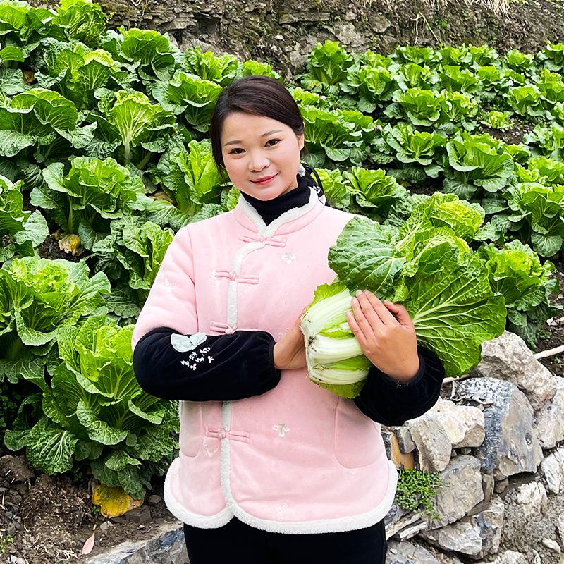 【白菜】农家自种新鲜大白菜