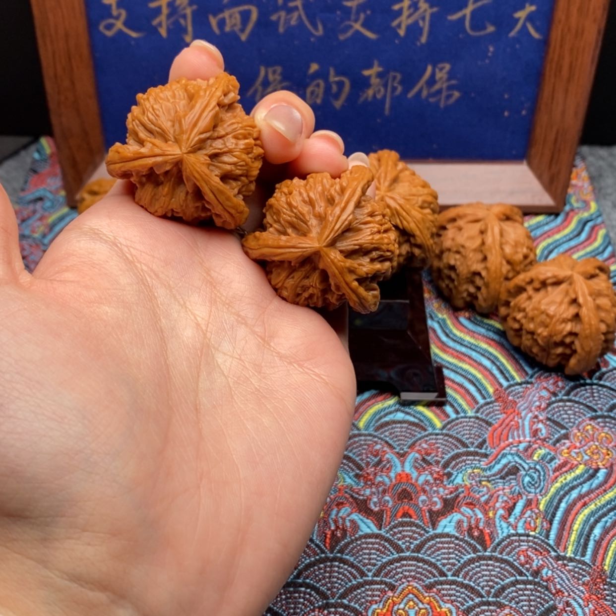 【闪购商品】独*白狮子11111111