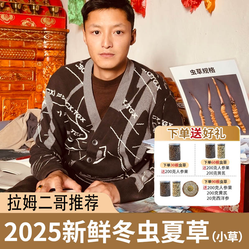 正宗2025西藏山南新鲜冬虫夏草头期干刷小草