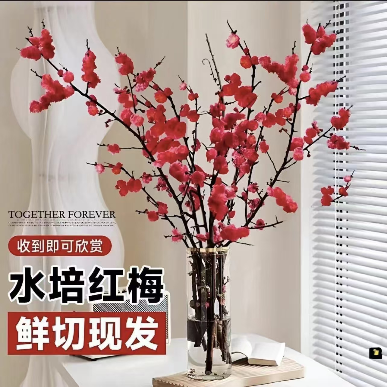 （带花苞）水培梅花鲜枝红梅年宵花新年装饰梅花枝条冬季室内