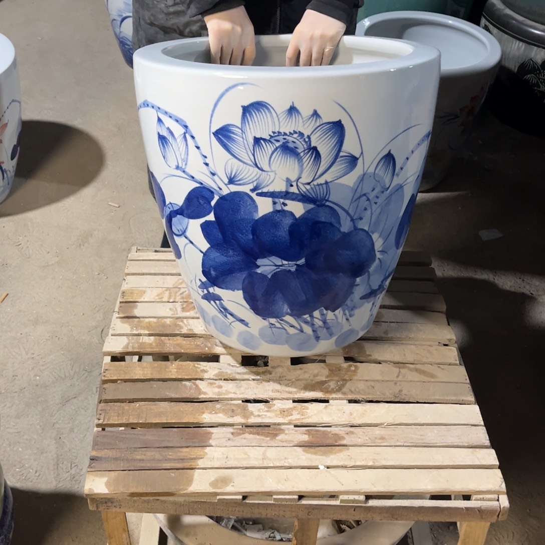 瓷片兰荷花43高度43.8888