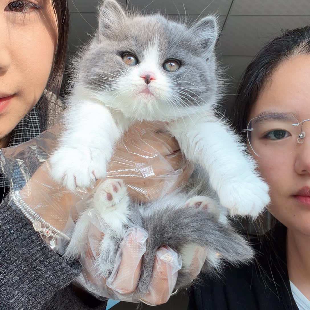 蓝白妹妹一针疫苗