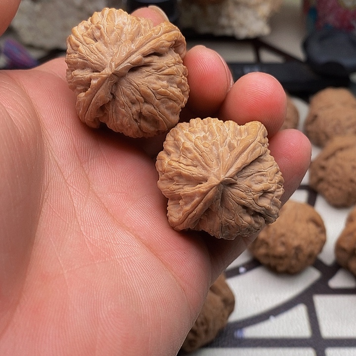 桃核把件白狮子头