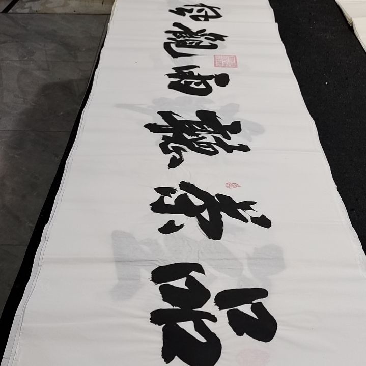 翰墨申国栋老师作品
