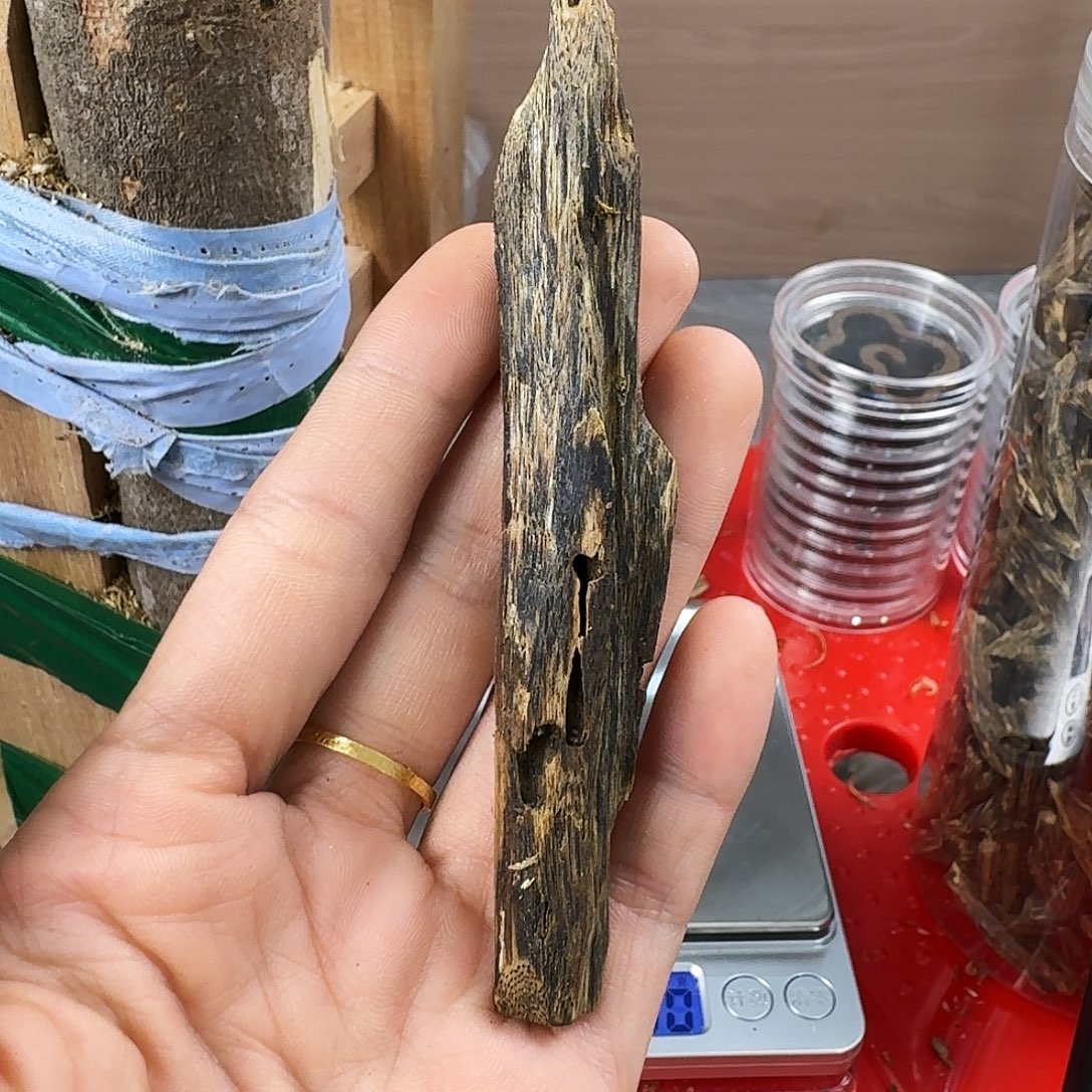 香料绿奇楠虫漏张勺子6克
