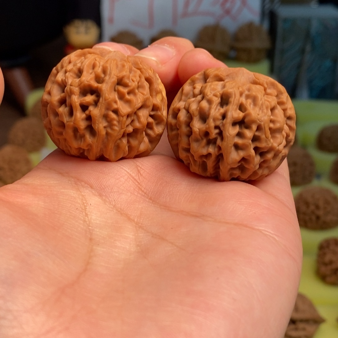 核桃秦岭闷尖狮子头34瑕疵