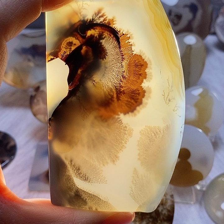 玛瑙/玉髓颈饰未镶嵌独**网