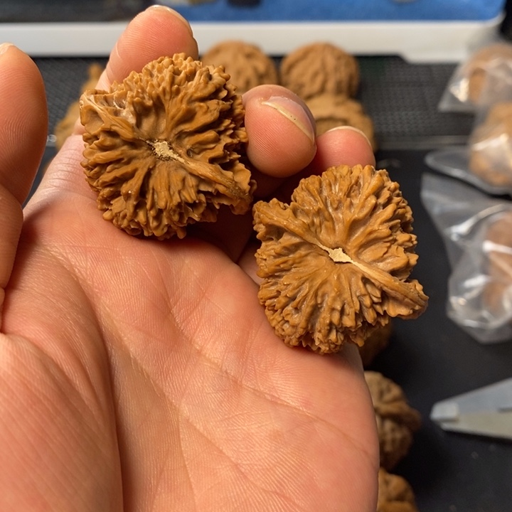 桃核把件467544566