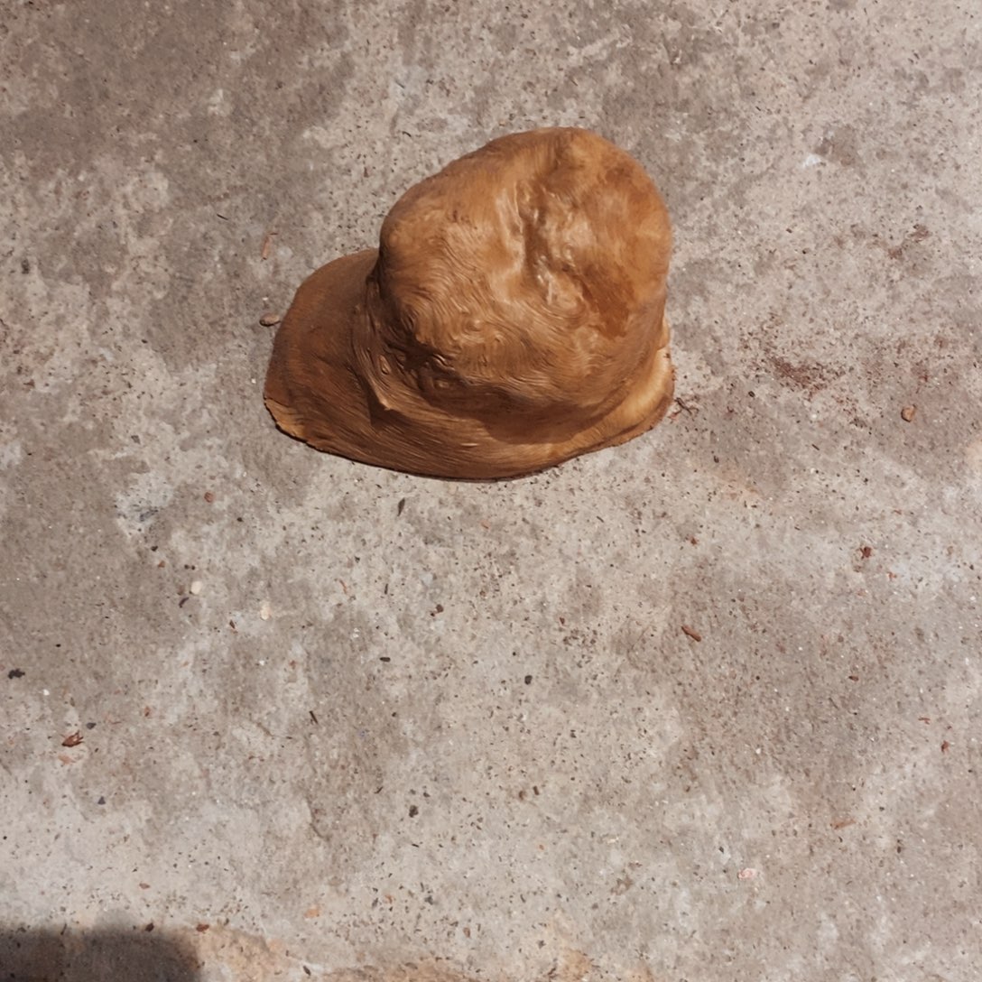木***玄荔枝木随形木材一个