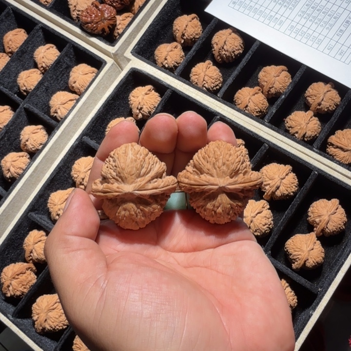 把件文玩核桃557号43mm全品白狮子