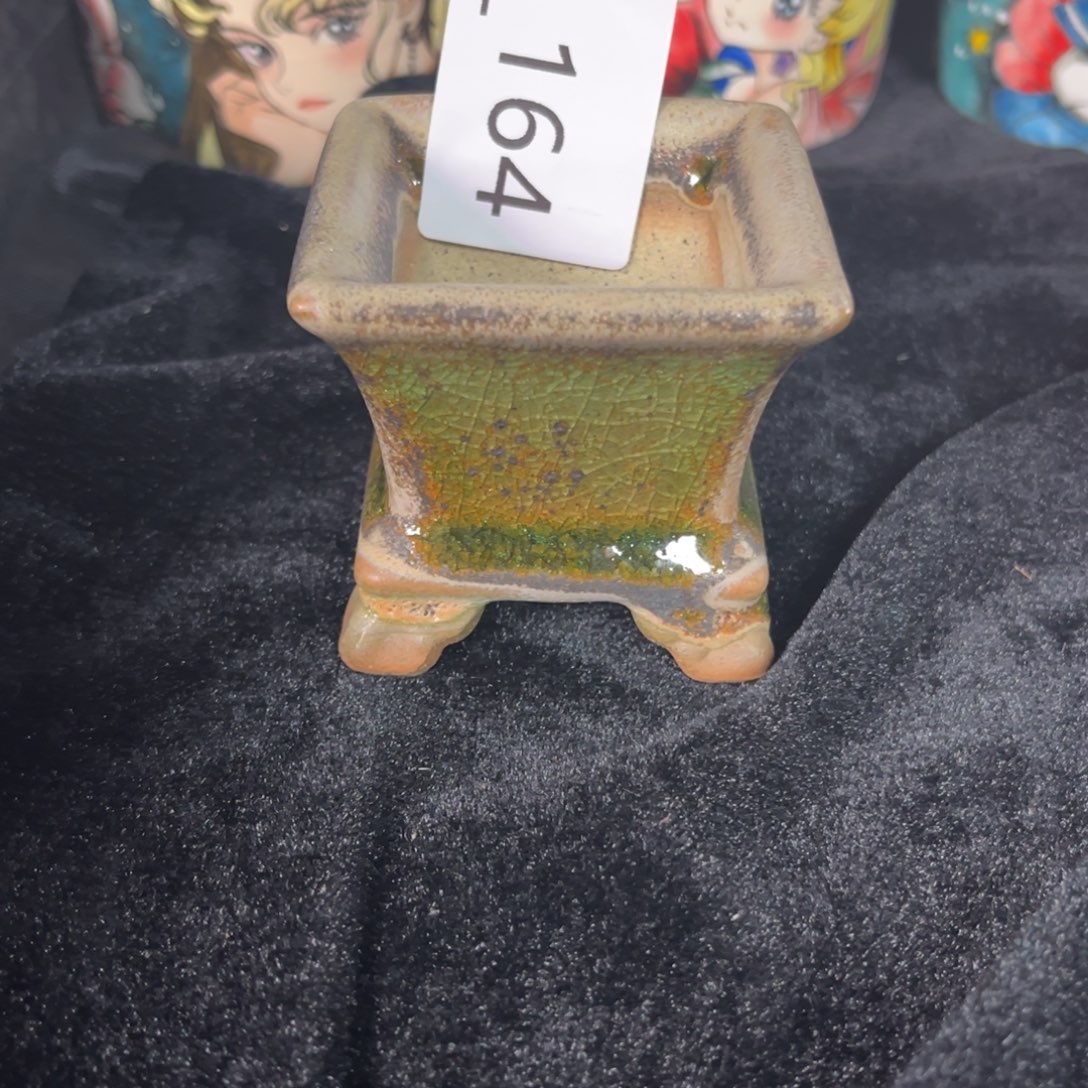 灵***灵164多肉花盆   1个