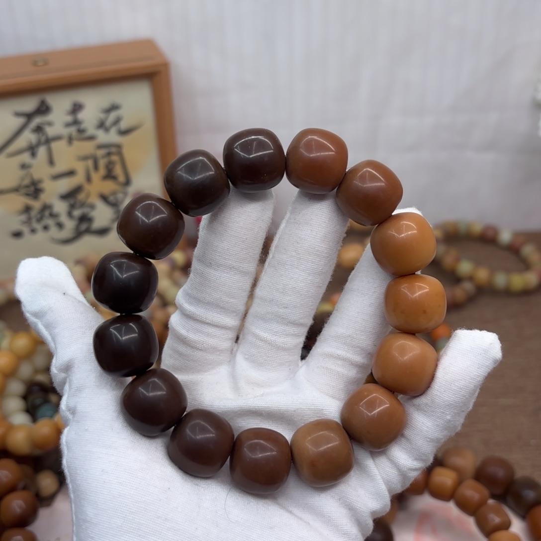 吊坠菩提根/象牙果18干磨瑕疵落地果糖油056