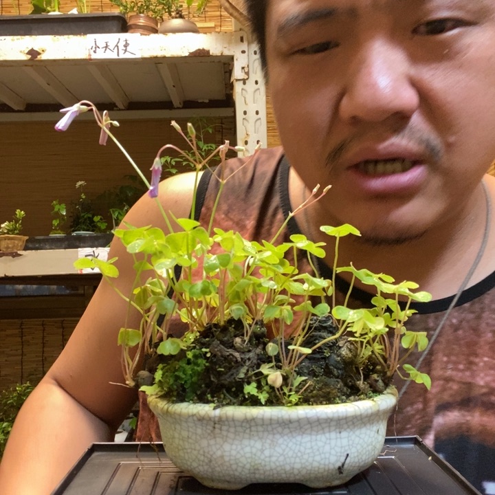 此****家一物一拍所见即所得404