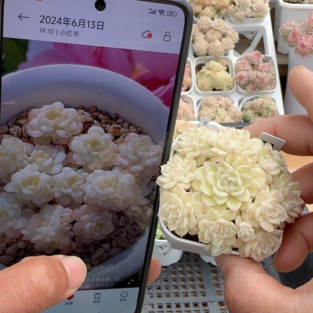 ?****?【闪购商品】0223-34（fm-72）