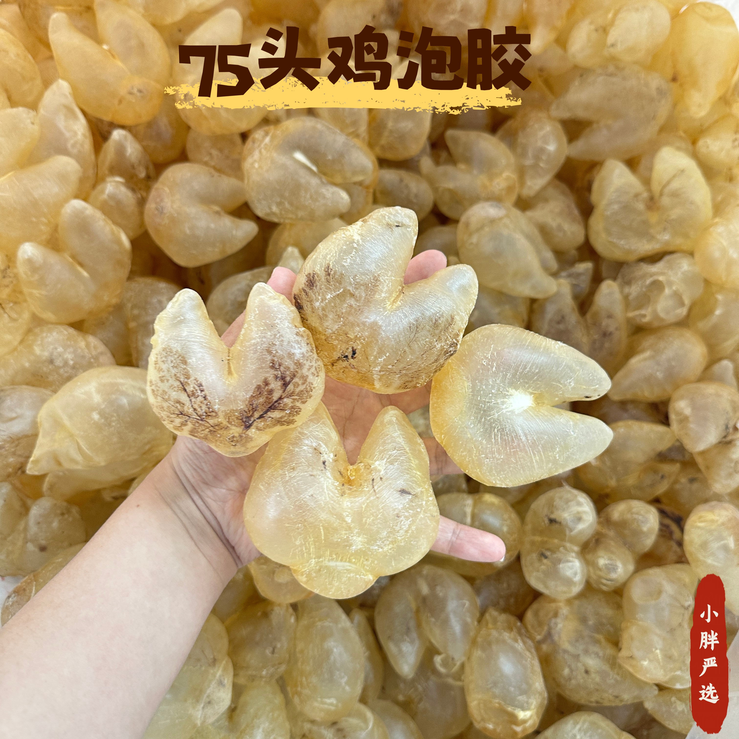 精选75头鸡泡胶 清水足干货 bei孕必备 