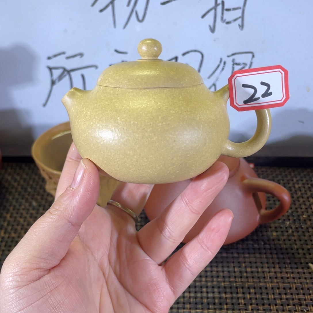 茶壶紫砂文旦本绿