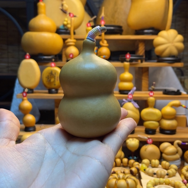 云***轻天然葫芦自然生长