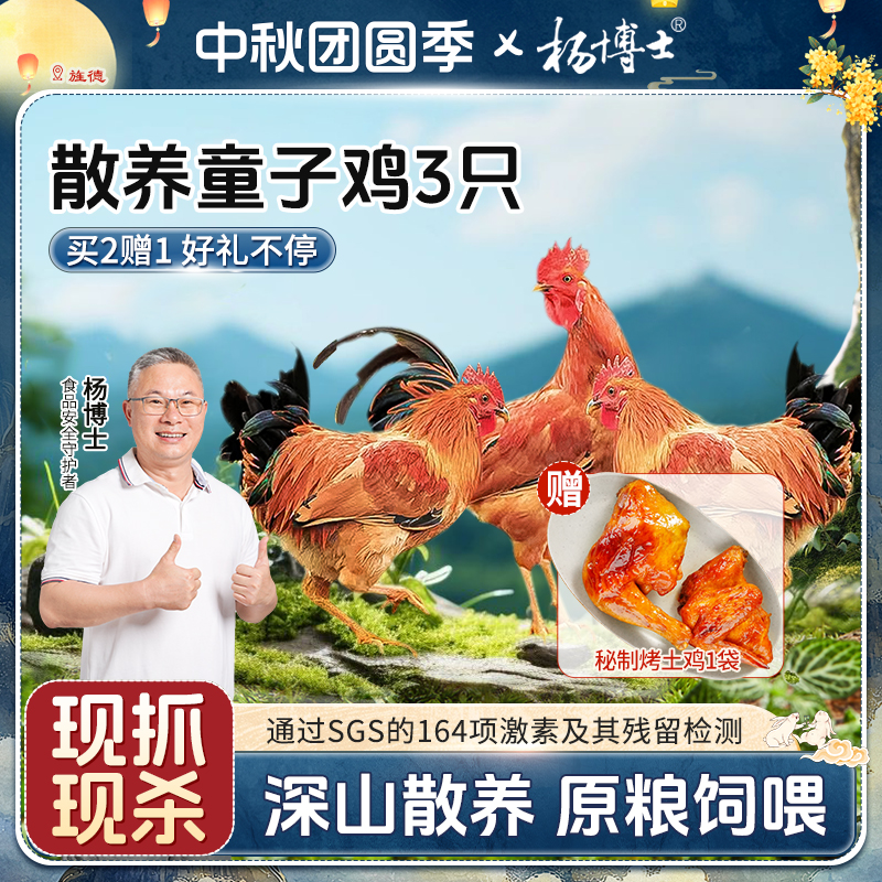 【3只童子鸡送秘制烤土鸡】杨博士深山放养正宗土鸡农家散养清蒸嫩