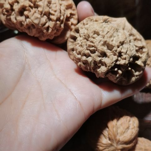 猴头核桃吊坠55龙鼎