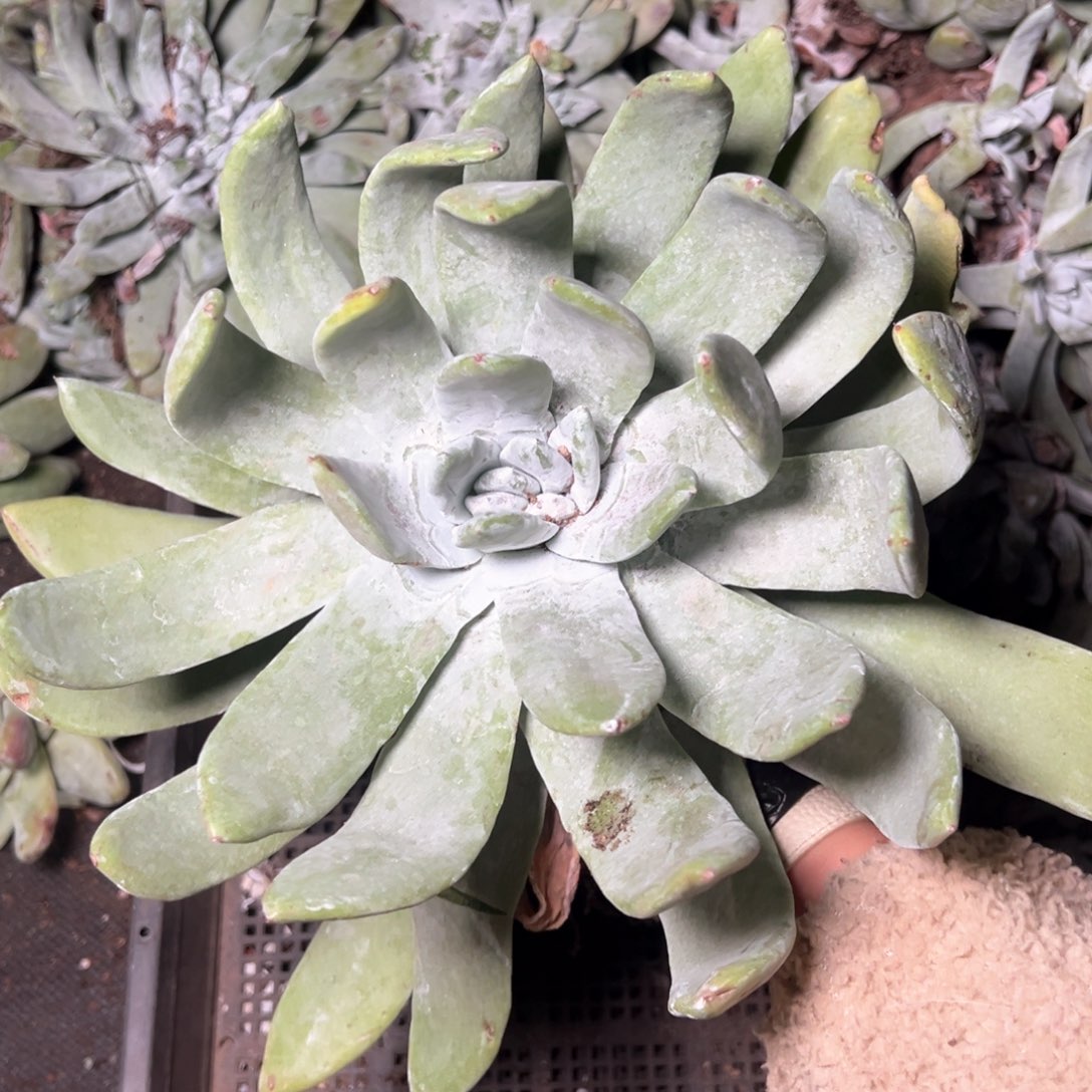 5906哈哈哈哈哈哈哈哈