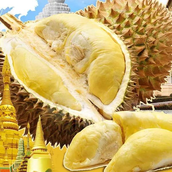 【潍坊榴莲小时达同城外卖到家】泰国树熟金枕鲜榴莲好品质 核小肉厚 3斤5斤一果一拍配送到家金枕金枕泰国