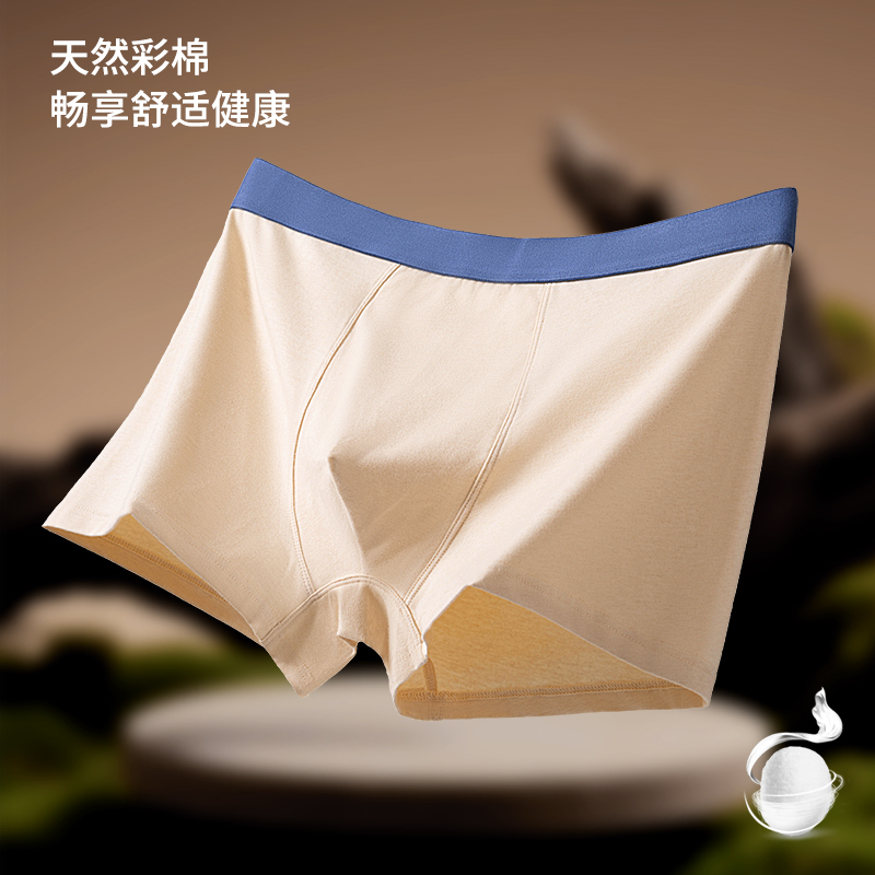 【天然彩棉男士3条装】中高腰内裤舒适透气中腰简约男生大码内裤