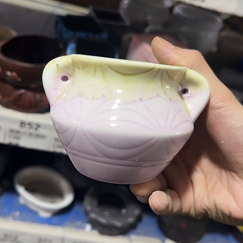 ·当场直播凑9元发·慎拍·731