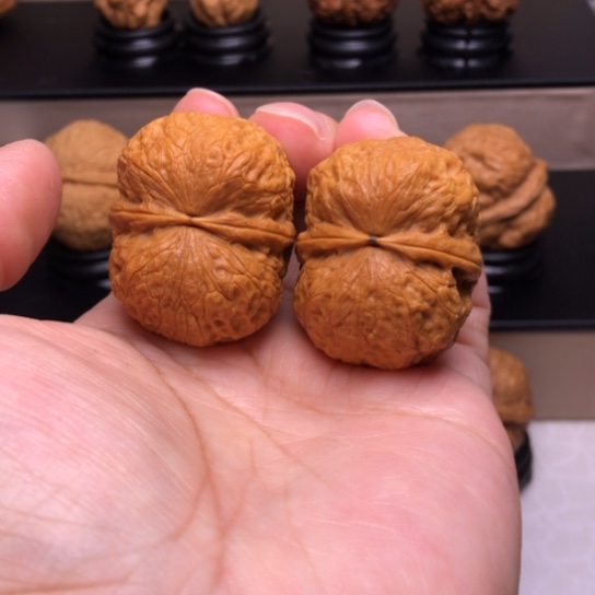 文玩核桃把件鹦鹉元宝36