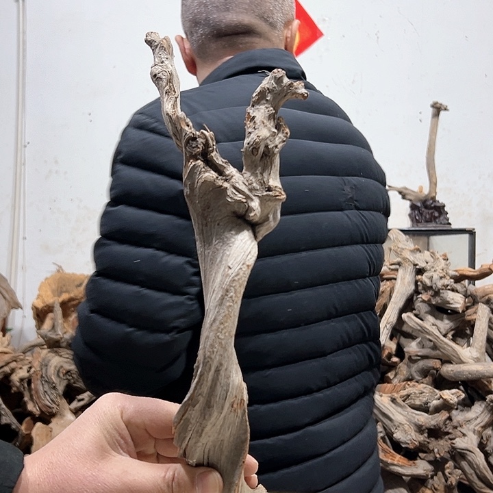 柏木重*我们都是好孩子呀我也