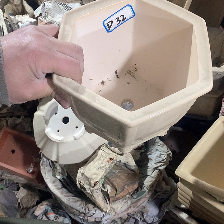 紫砂优秀青年科技学院教授一