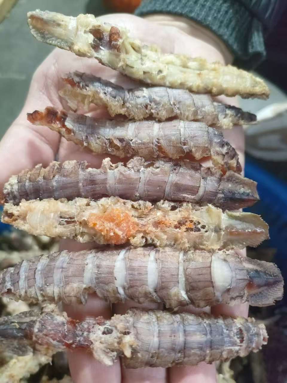 青岛本地发货  特大号虾虎肉全部带籽 海鲜干货零食