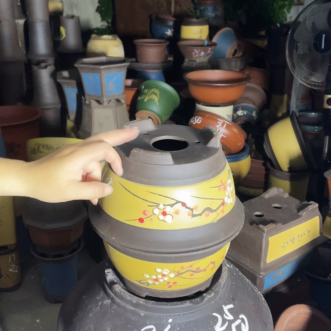 黄富贵点菜小一对花盆花盆