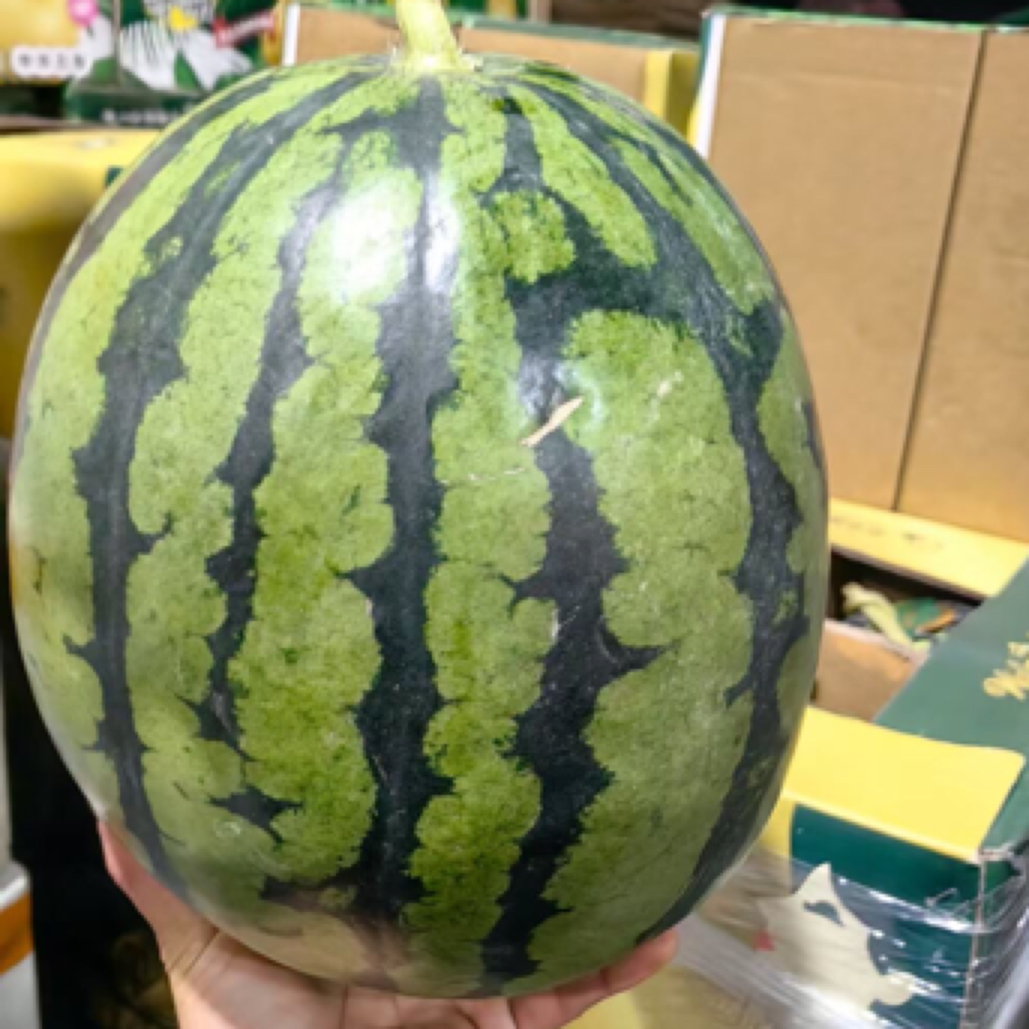 麒麟西瓜（6-7斤）