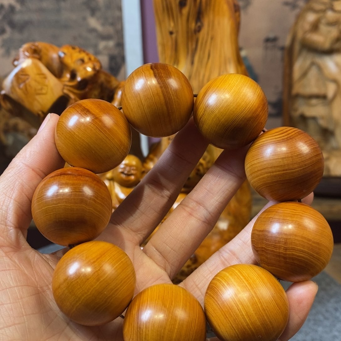 柏木（崖柏）崖柏3.0