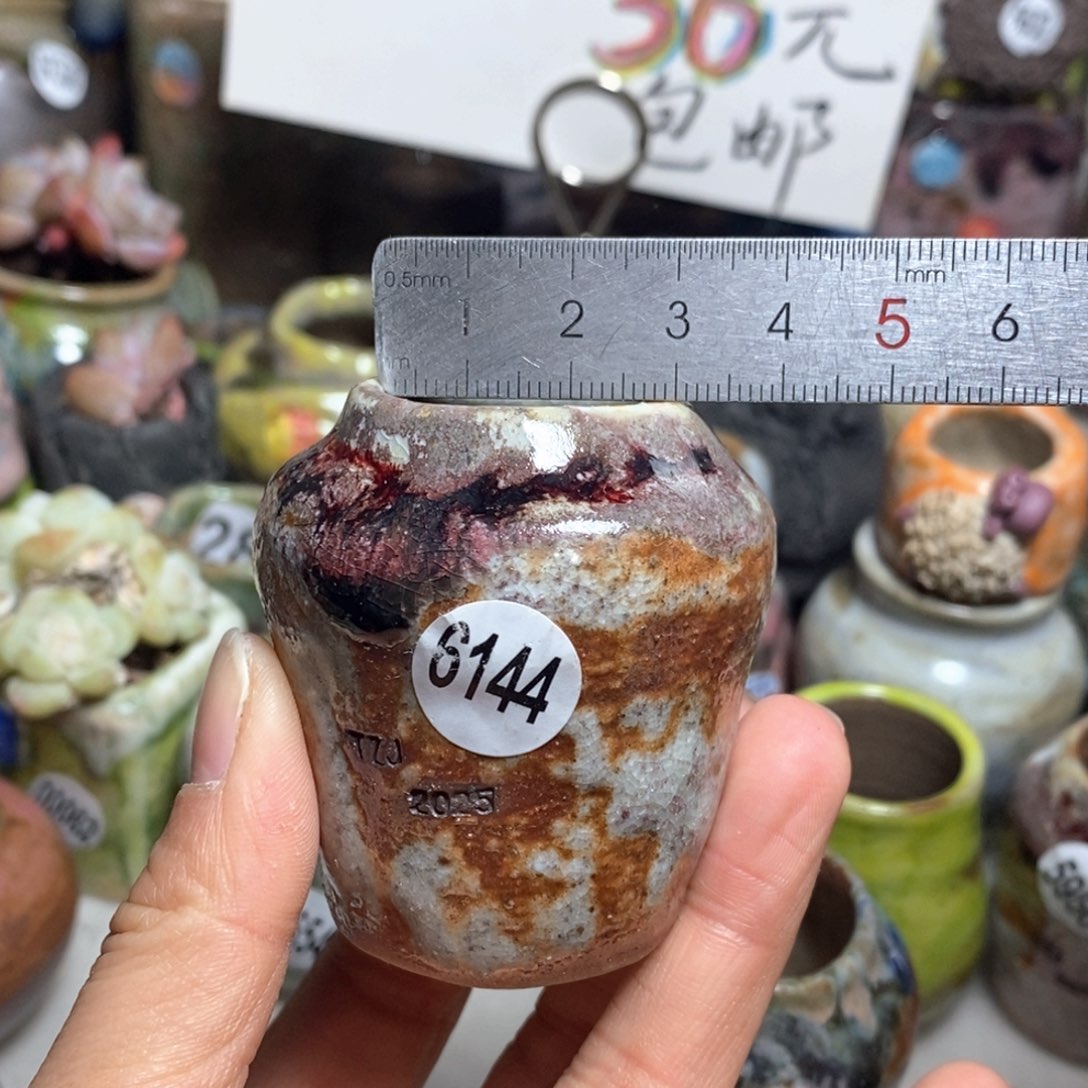 我**傲花盆拍5送一个小礼物，不退不换的