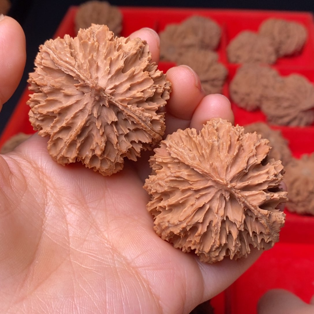 文玩核桃把件秦岭野生核桃