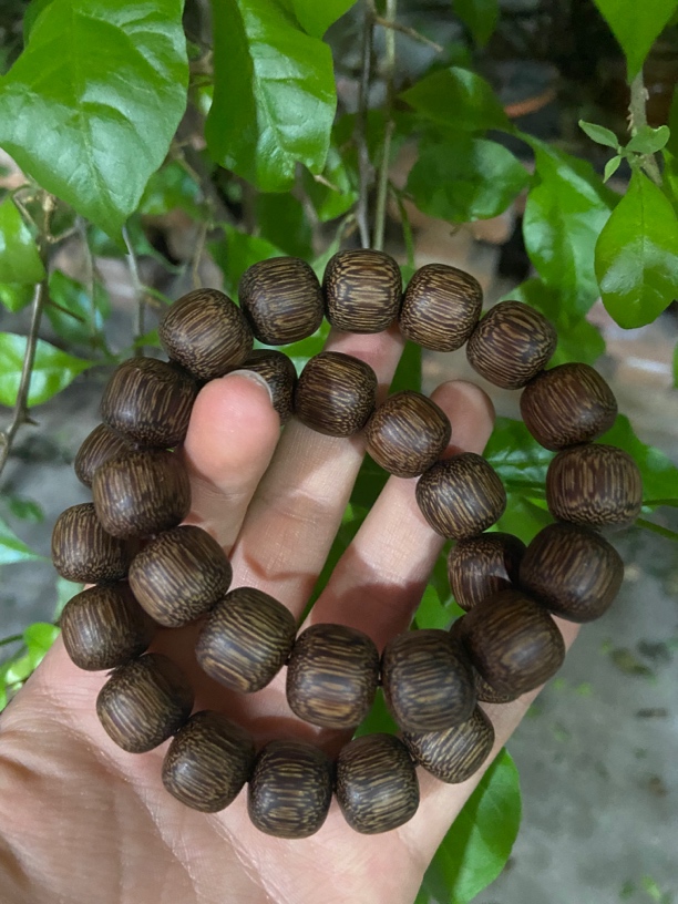 【土特产菇82】净含量26g起