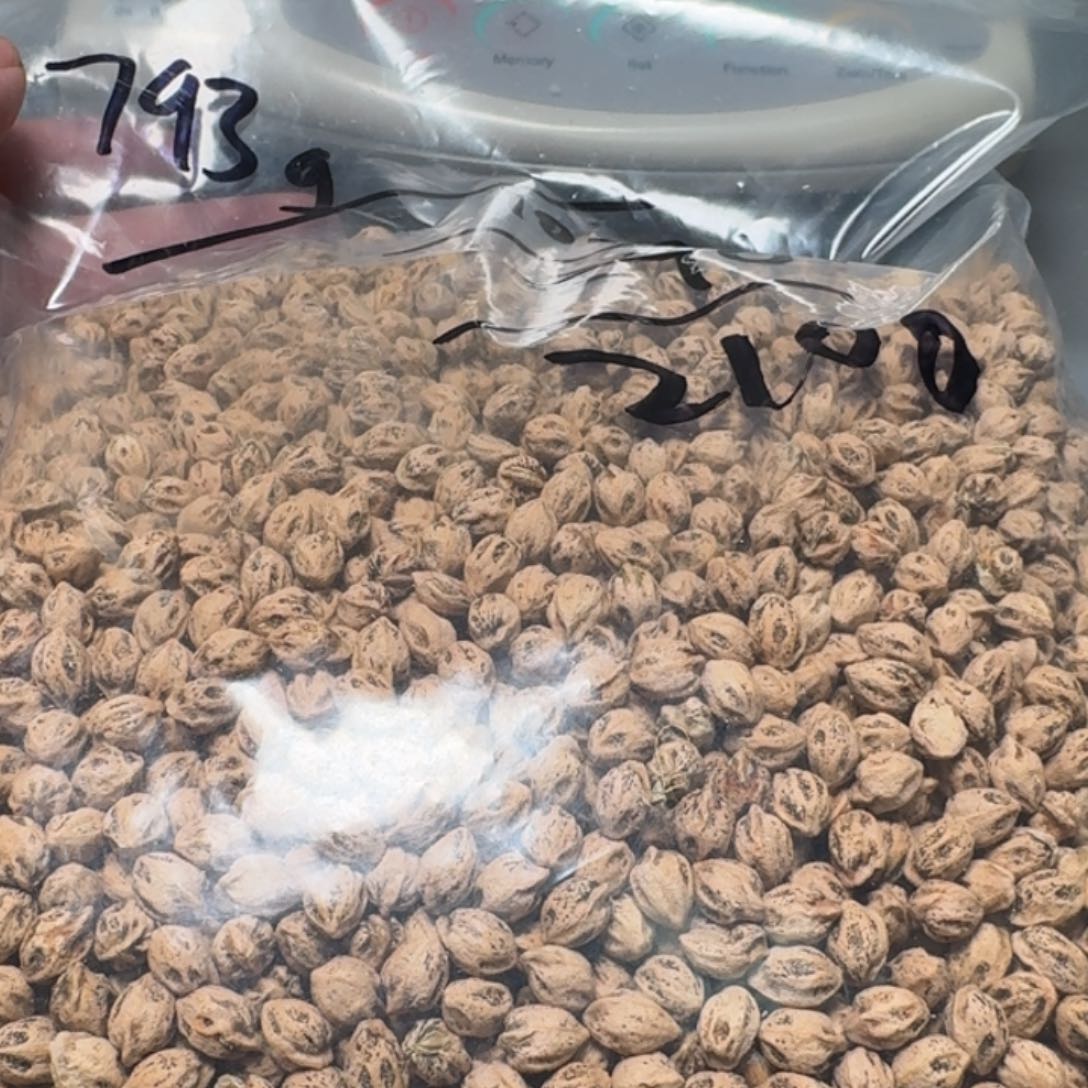 柏香籽/百香籽吊坠知****香