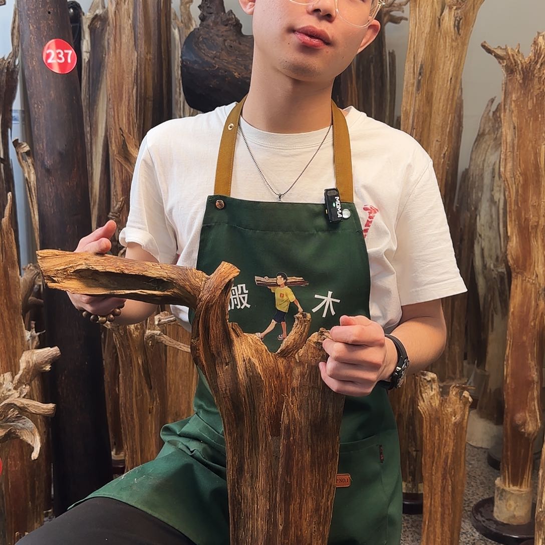 沉香摆件天然沉香原木摆件➕底座