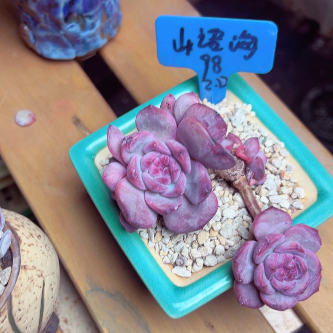 山****石山语海11111111111