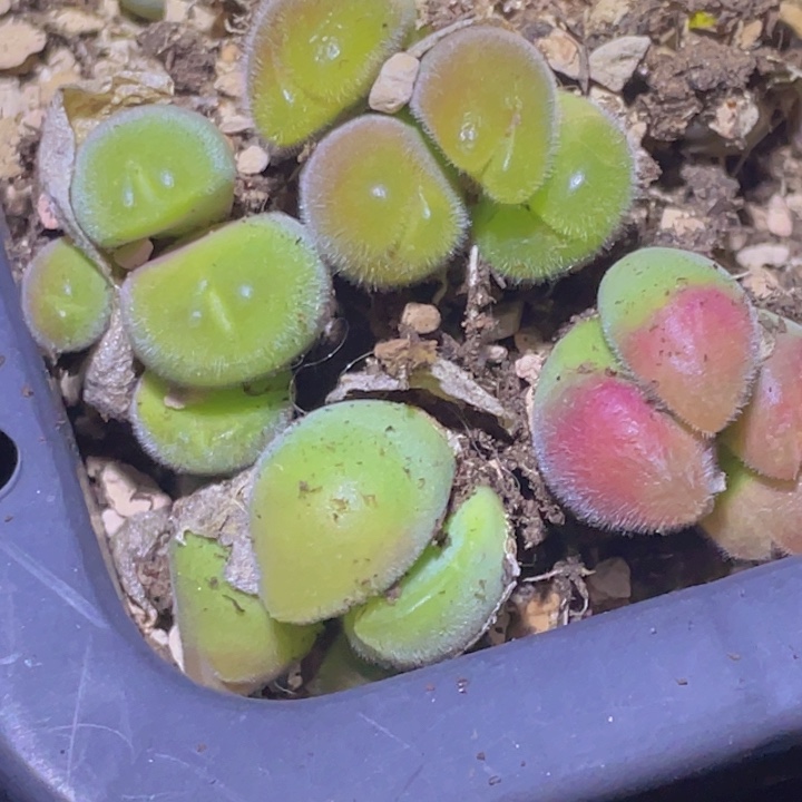 488889688588588588588