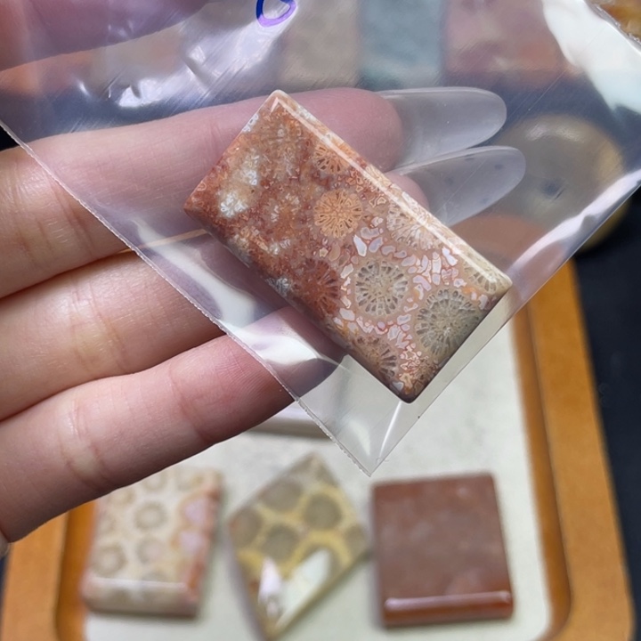 未镶嵌吊坠硅化珊瑚（珊瑚玉）