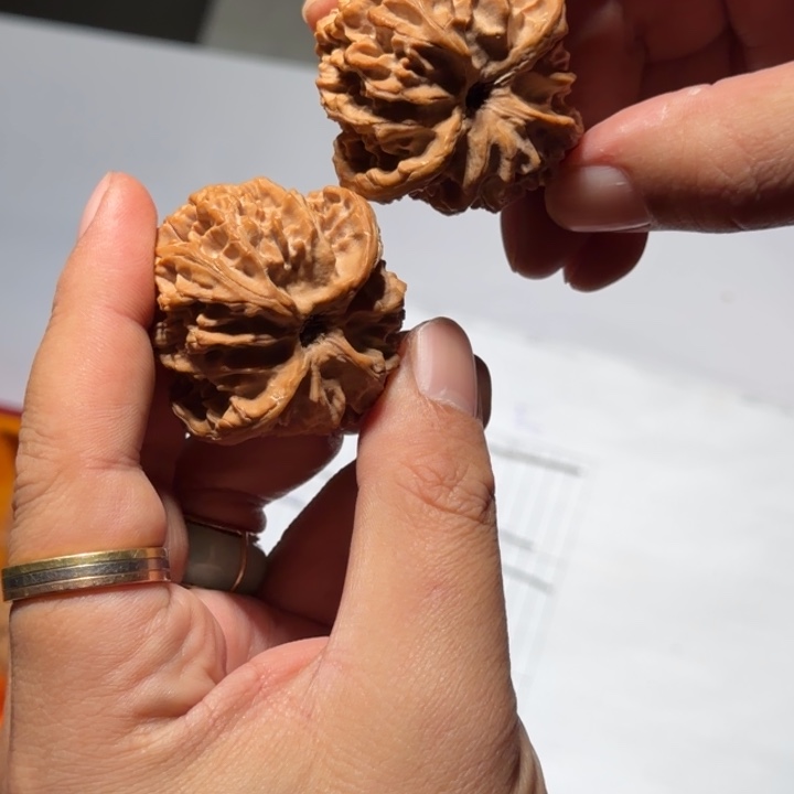 文玩核桃把件1011号全品苹果园43mm