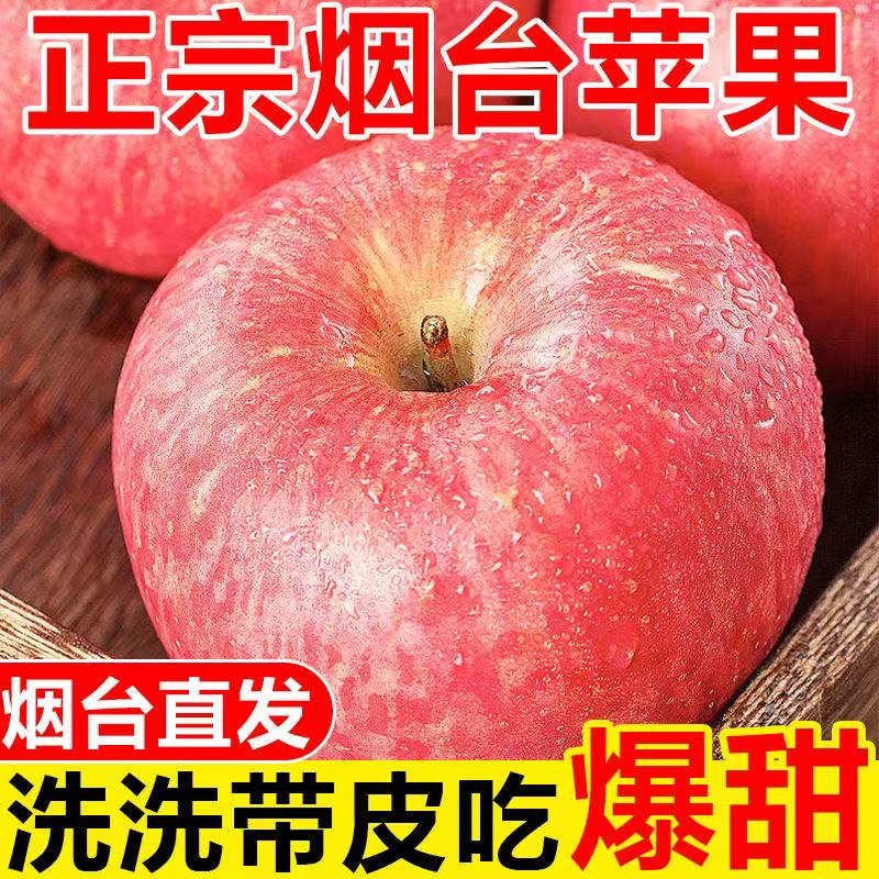 山东烟台红富士苹果新鲜苹果现摘先发脆甜多汁应季水果产地直发S1