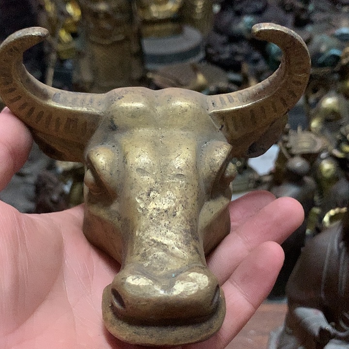 佛光普照大地色系的搭配
