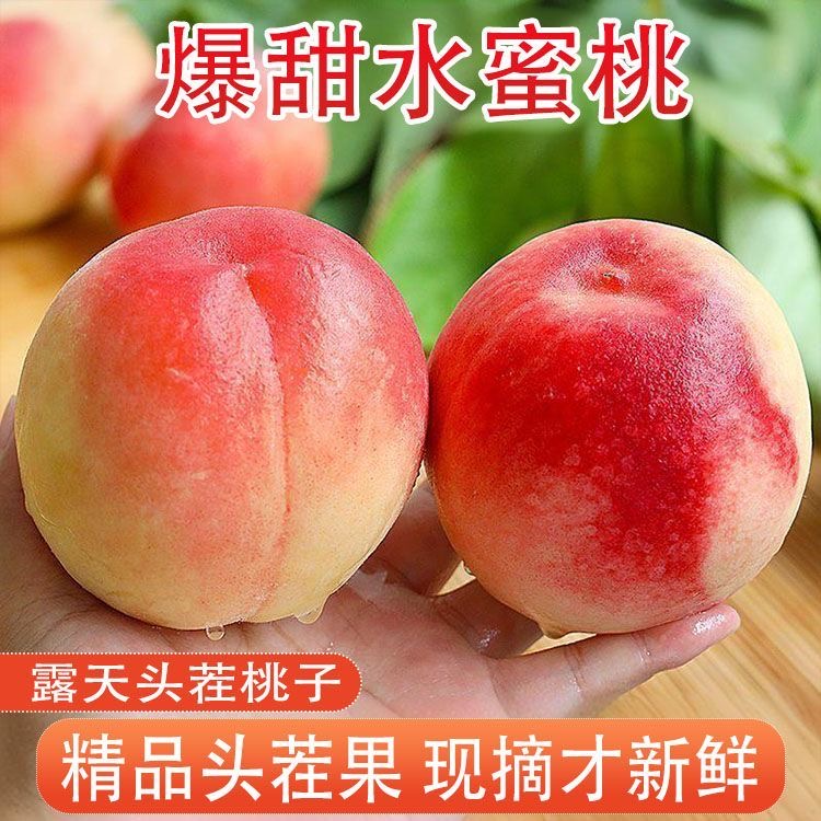 【助农福利】正宗水蜜桃新鲜桃子当季水果孕妇水蜜桃脆桃整箱批发