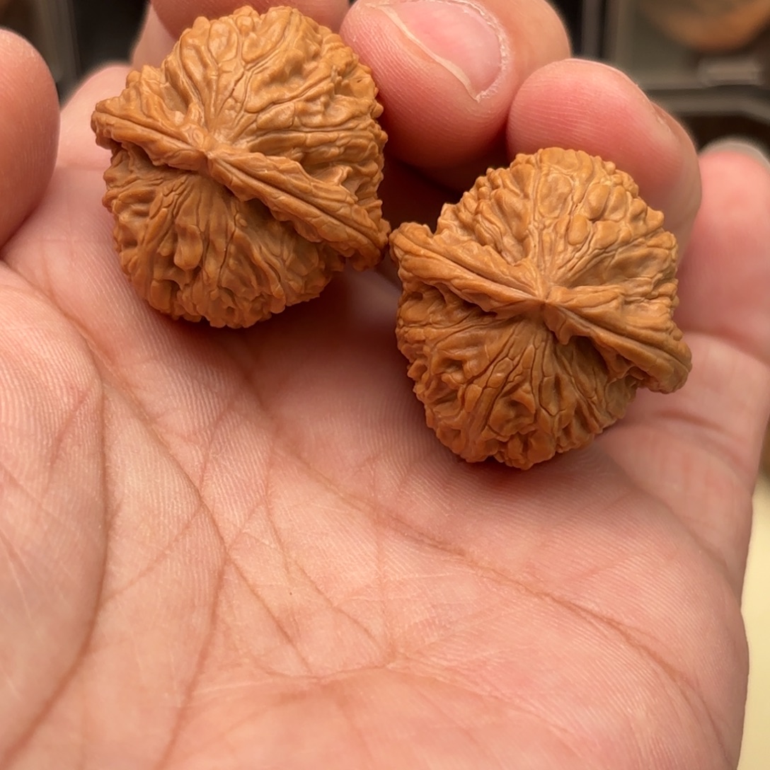 文玩核桃把件白狮子头