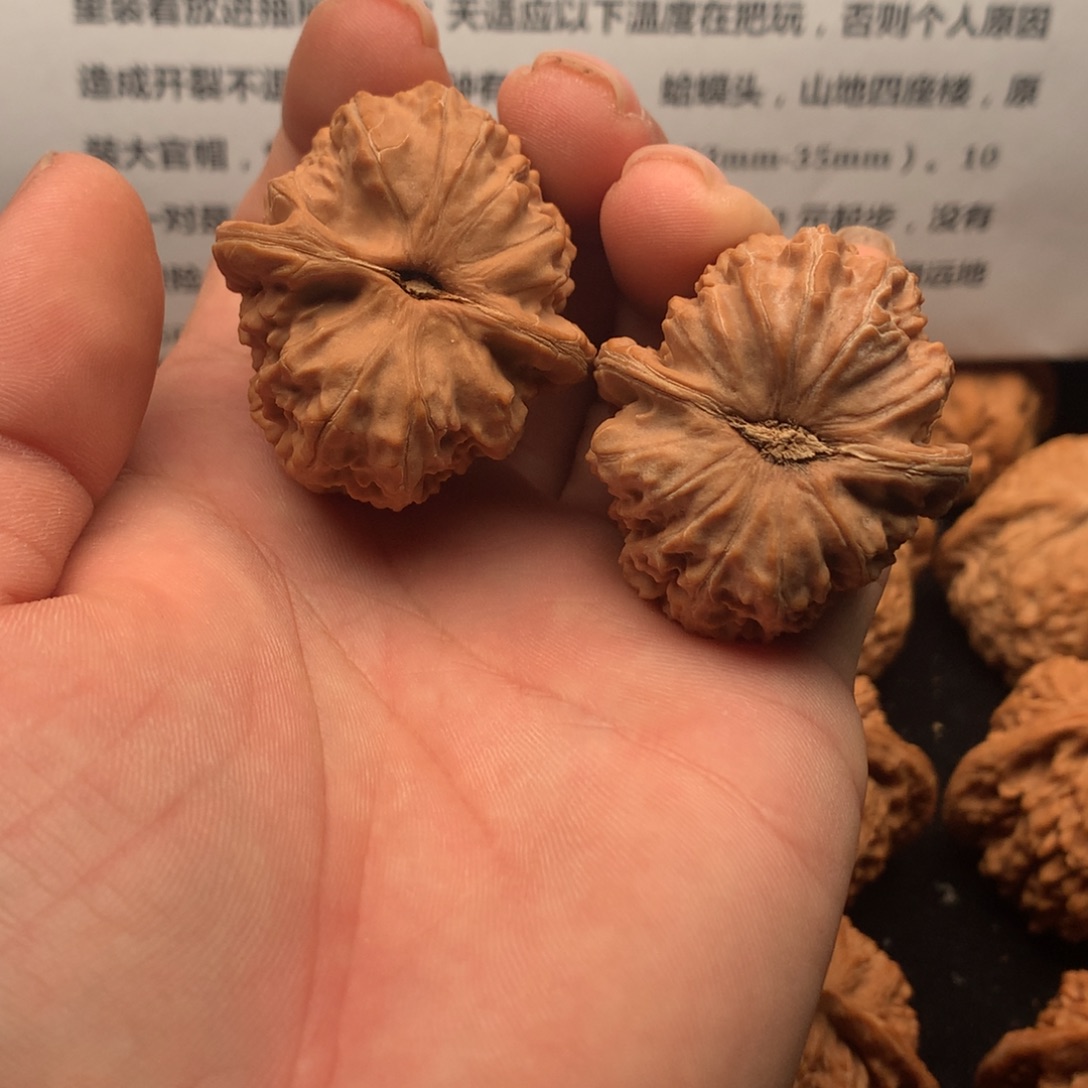 黄***腐文玩核桃把件白狮子